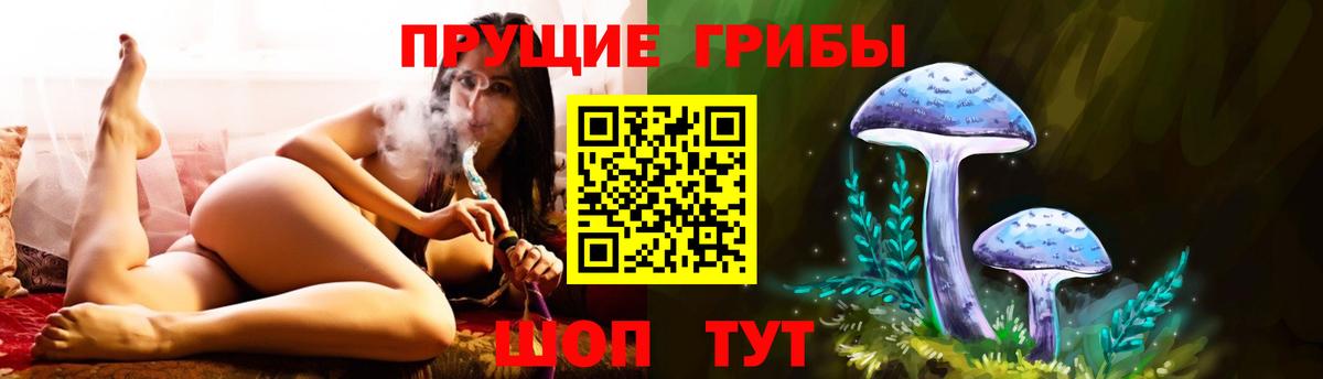 Галлюциногенные грибы Psilocybine cubensis Холмск